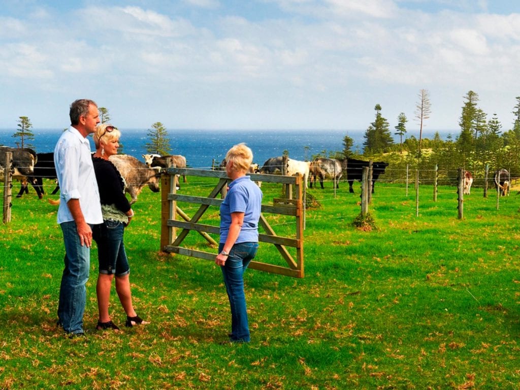 Norfolk Island Travel Centre Couple Cows Farm Tour 3
