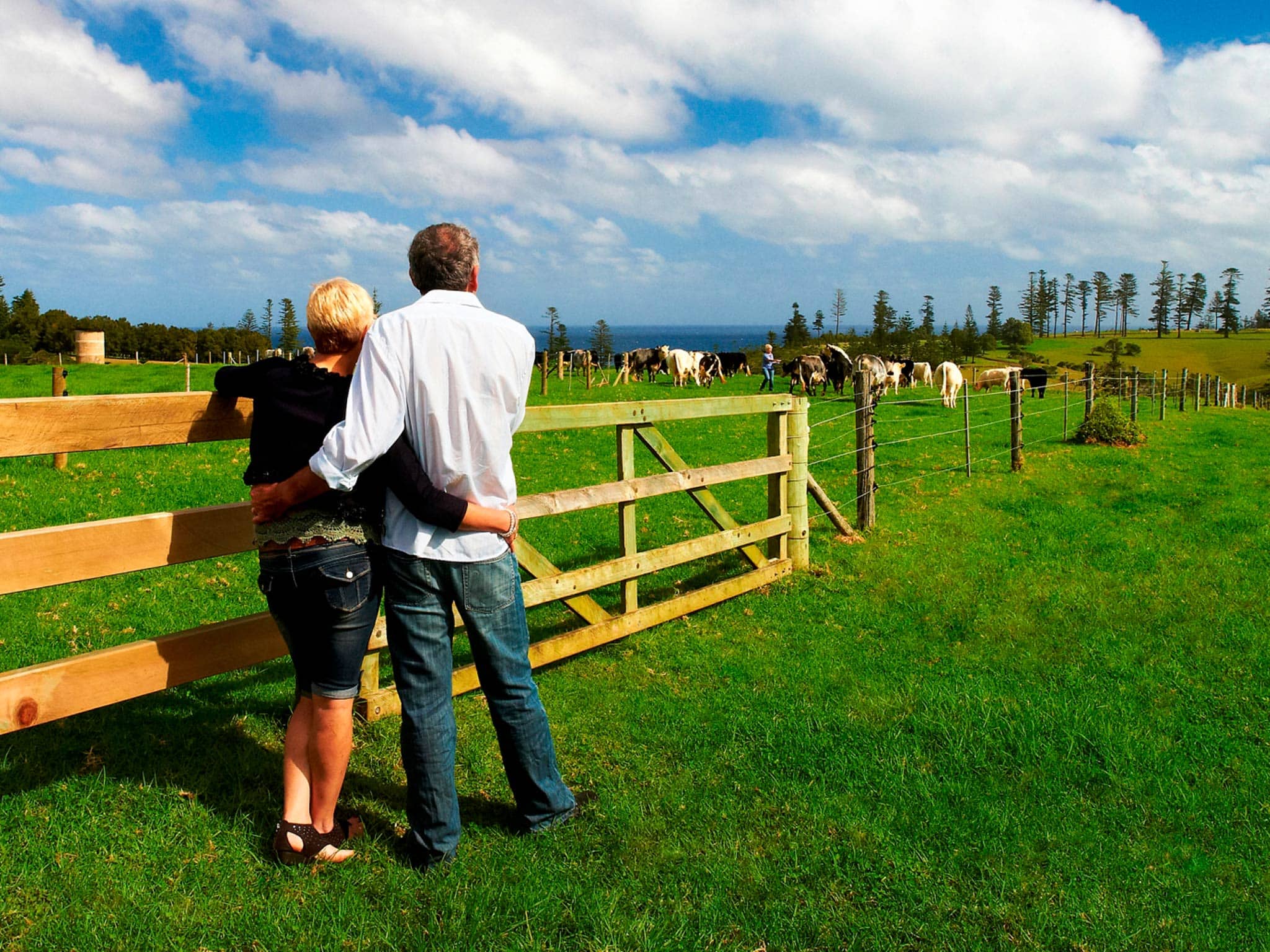 Norfolk Island Travel Centre Couple Cows Farm Tour