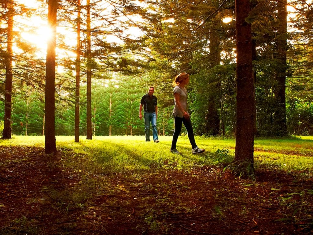 Norfolk Island Travel Centre Couple Walking Hundred Acres