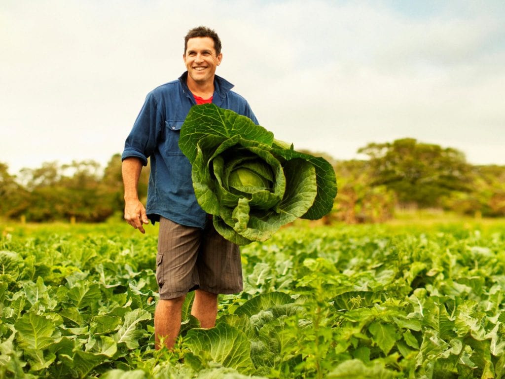 Norfolk Island Travel Centre Farmer Fresh Food 2