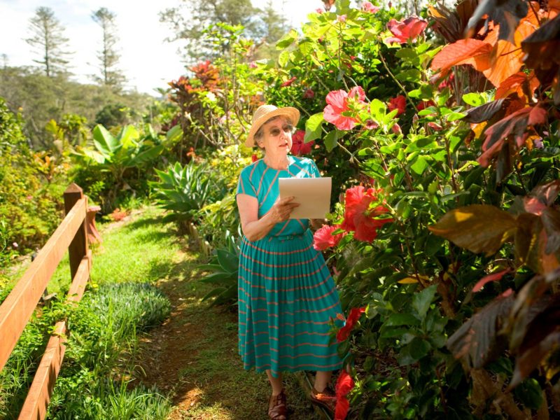 Norfolk Island Travel Centre Lady Fresh Produce