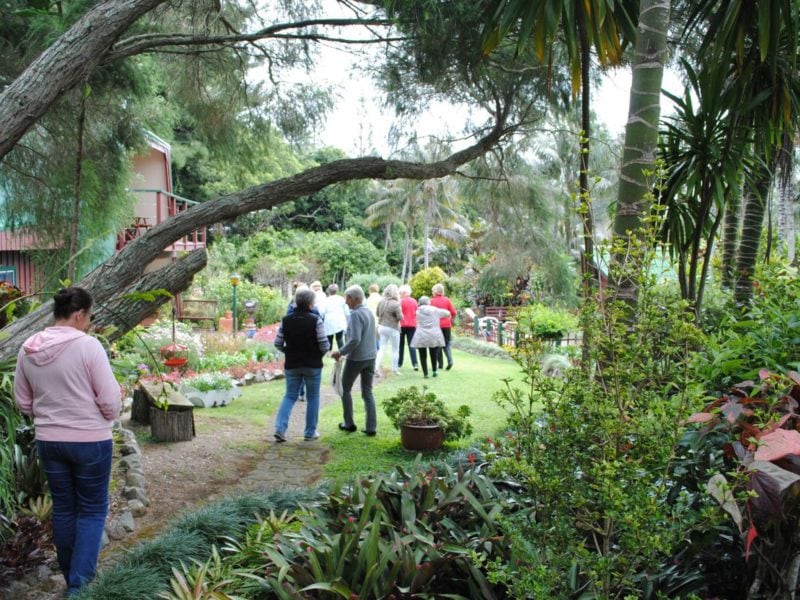 Norfolk Island Travel Centre Garden Clubs Of Australia 2019 Convention 2