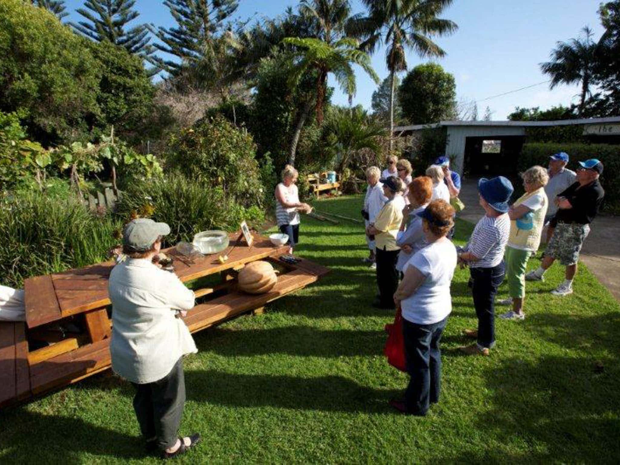 Norfolk Island Travel Centre Garden Clubs Of Australia 2019 Convention Jane Tour Norfolk Island