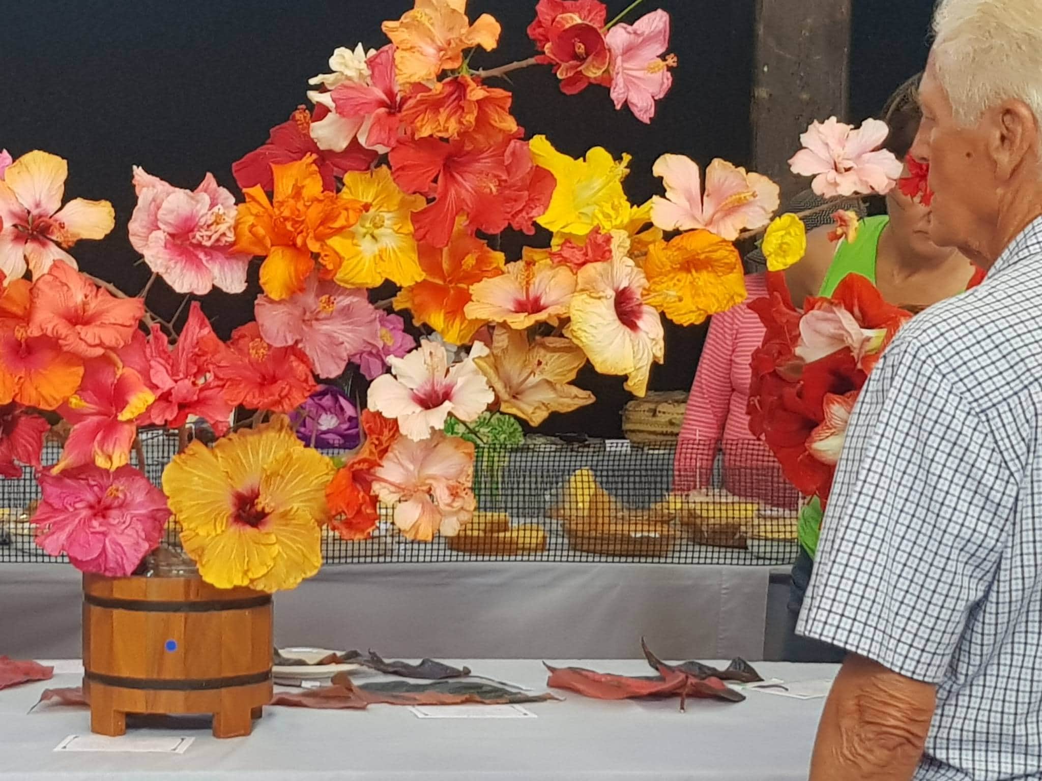 Garden Week & The Royal Agriculture and Horticultural Show 2024