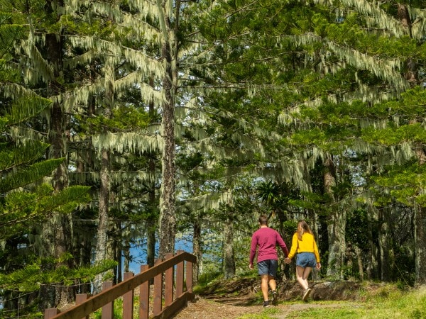 Bridle Track on Norfolk Island