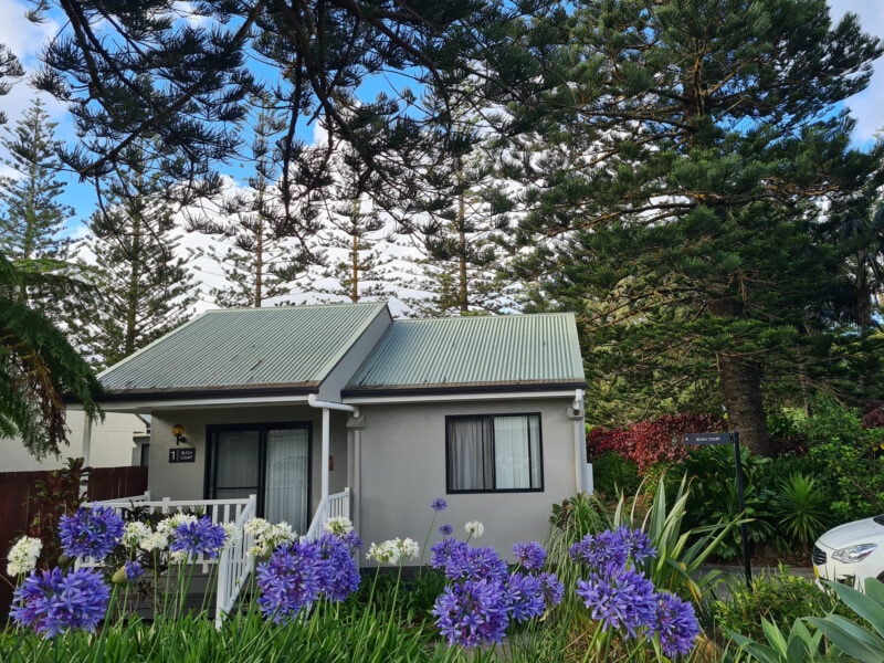 Cabin with agapanthus at Governor's Lodge on Norfolk Island
