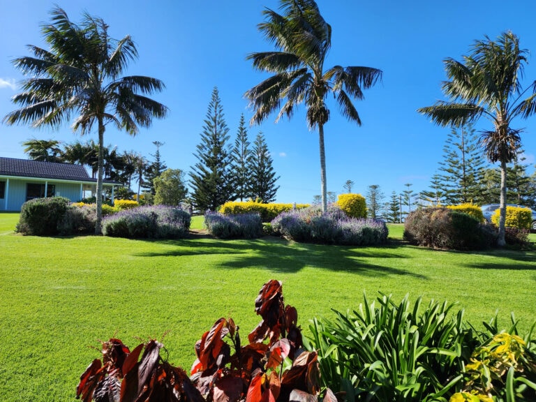 The Crest Apartments Hot Deal Norfolk Island Travel Centre