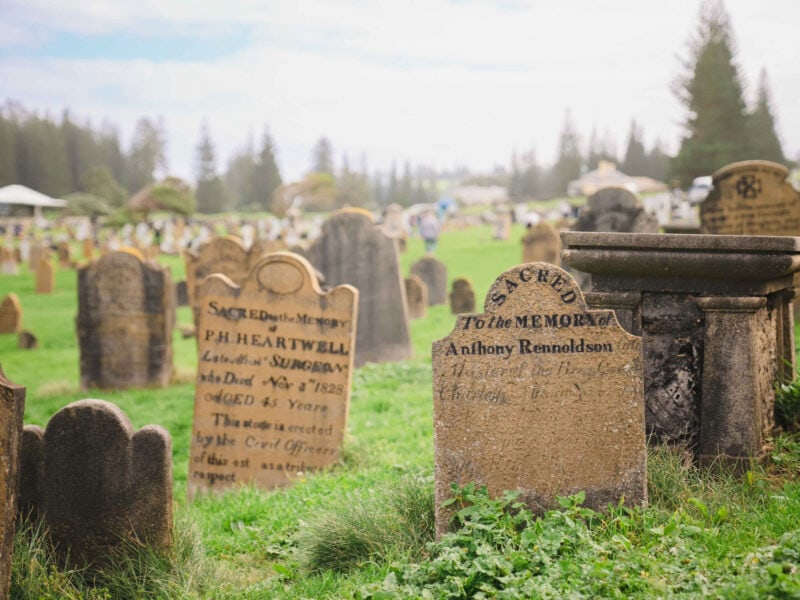 SETTLEMENT TOUR WEB 28