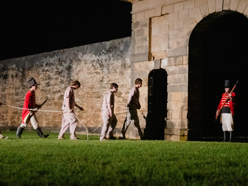 Sound And Light Show HQ 10