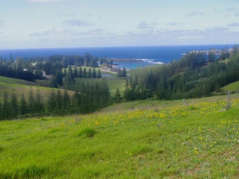 Island Adventures 4WD Tours Norfolk Island5