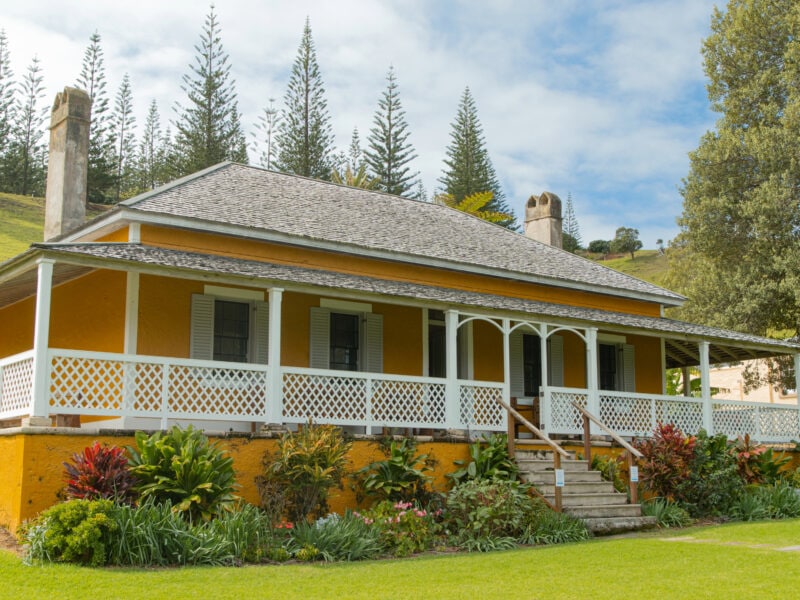 White Tern Story No 10 Quality Row Museum Norfolk Island Large 8355