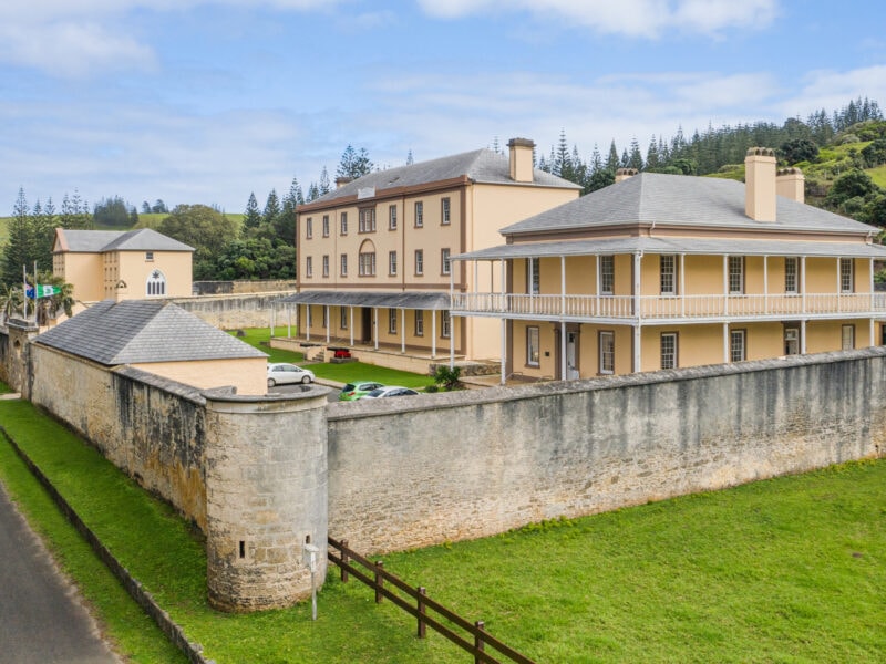 White Tern Story Norfolk Island HERO Large 0596