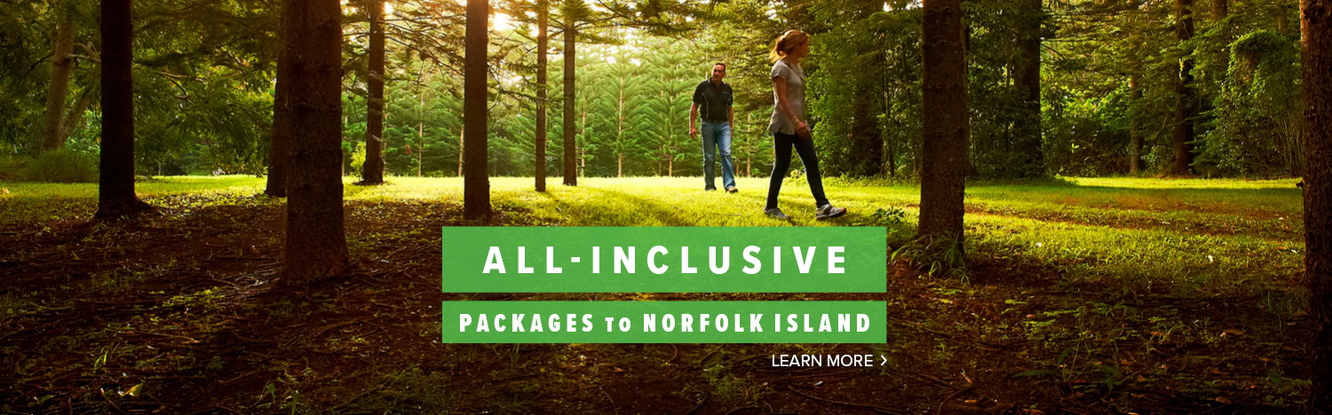 People walking through the pine forest. Banner with All Inclusive Packages