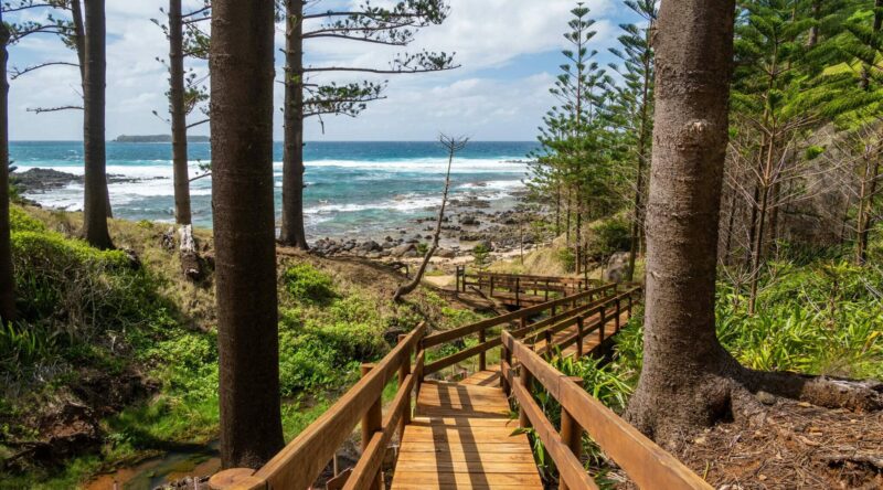 Find your swimming spot