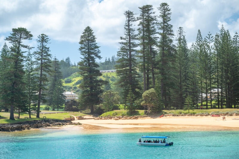 Admire the fish without dropping a line