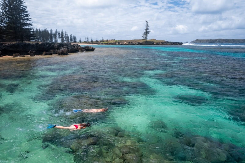 Swim with the fishes